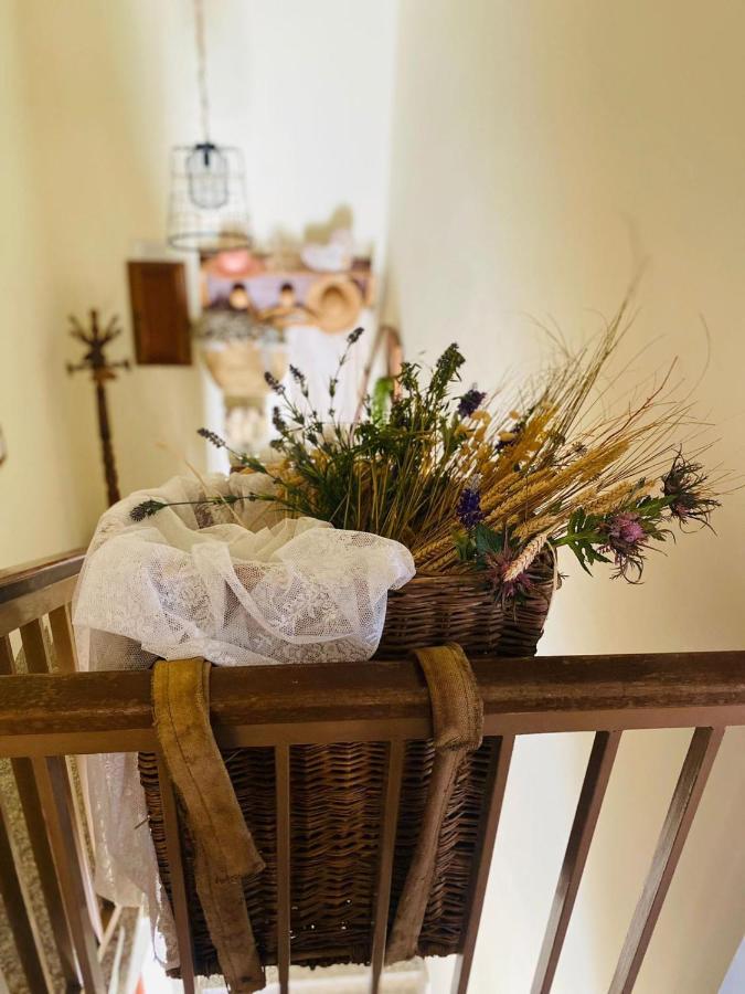 Anticacascina Bed and Breakfast Quarto  Εξωτερικό φωτογραφία